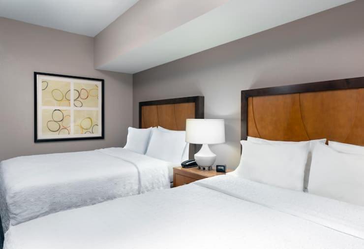 Hampton Inn And Suites Clayton/St. Louis-Galleria Area Exteriör bild